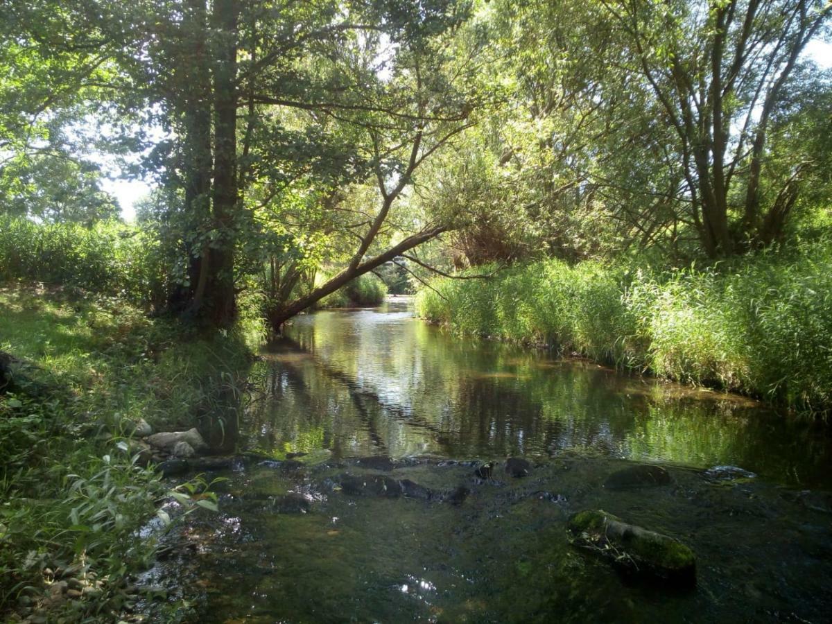Przystan Nad Bobrem Daire Kamienna Gora Dış mekan fotoğraf